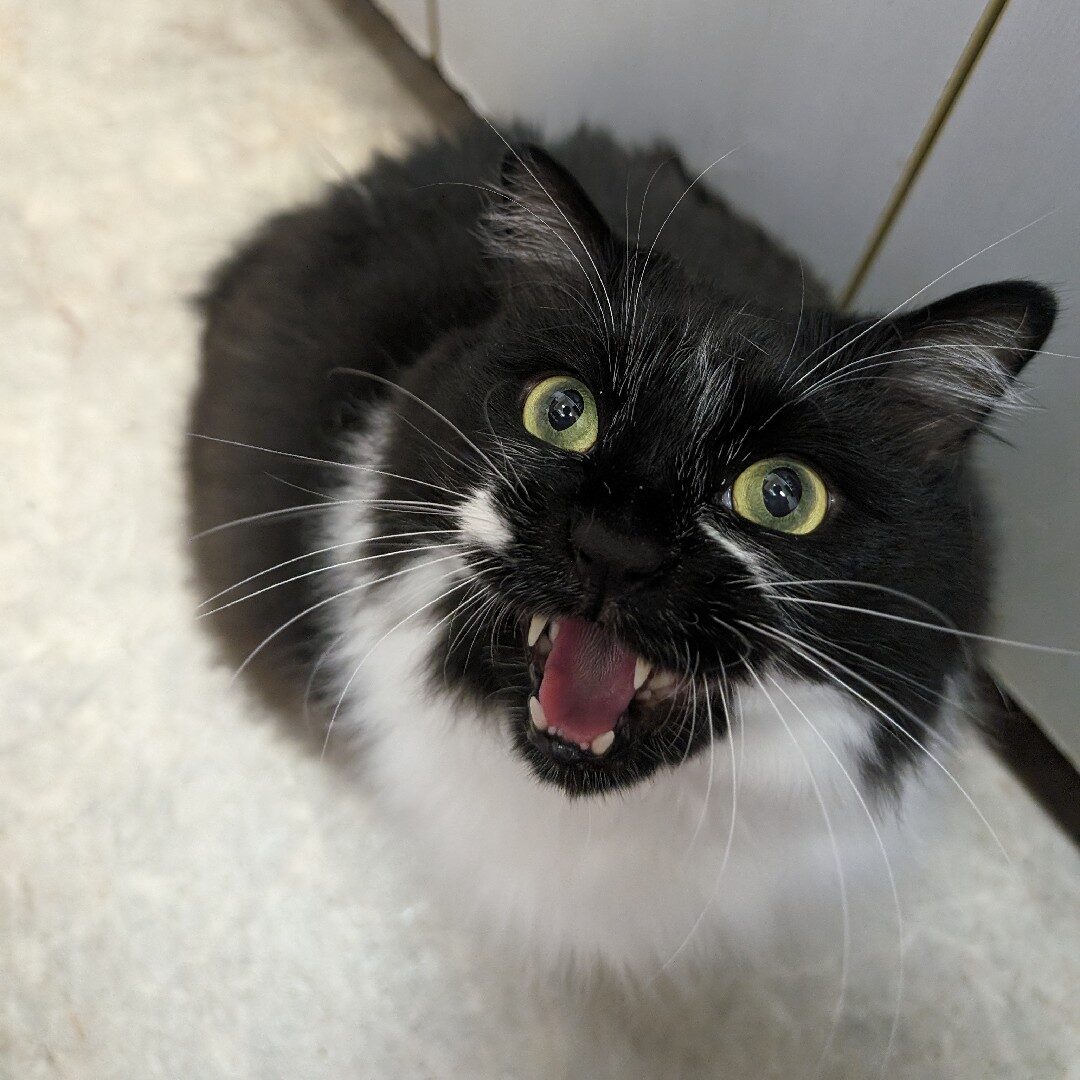 りん