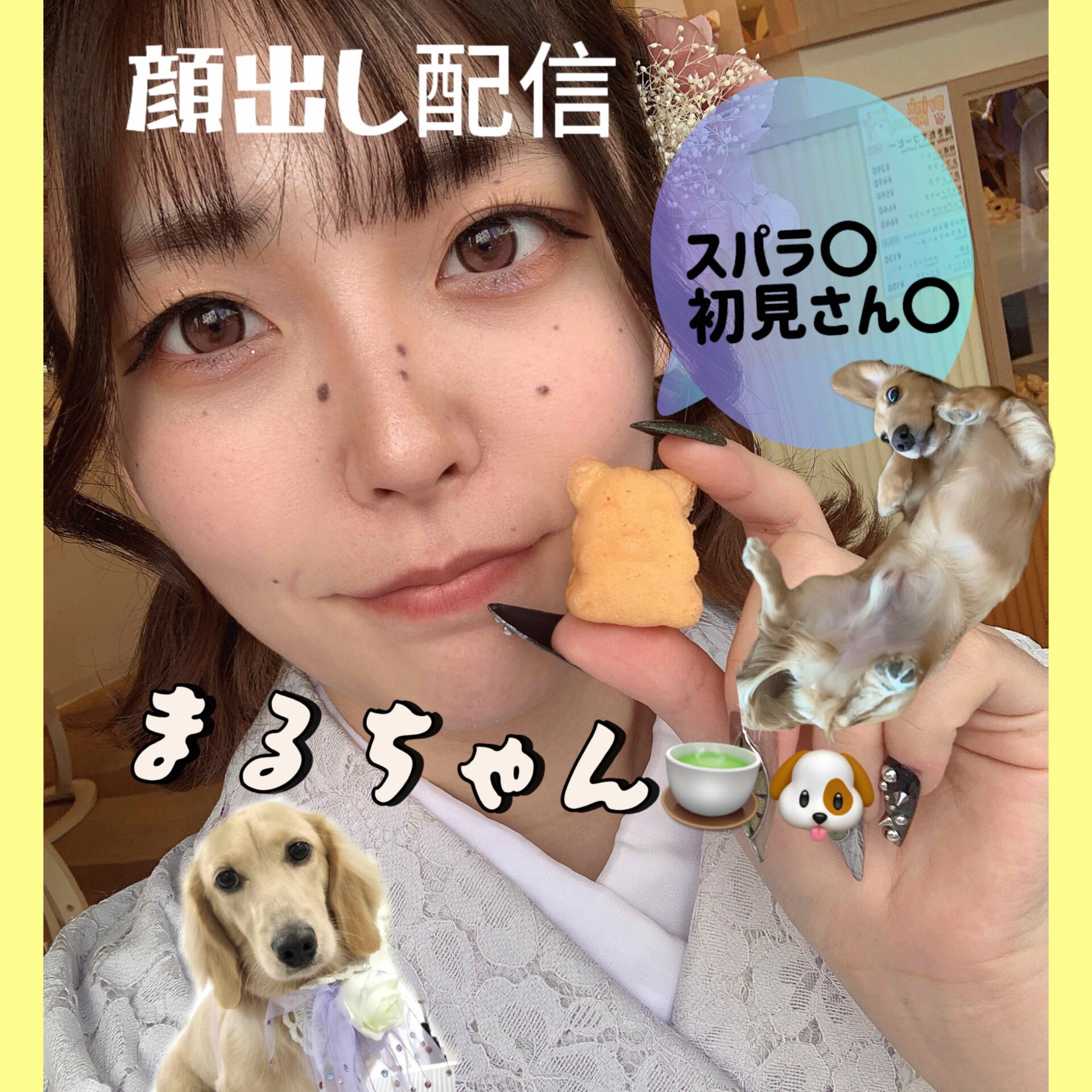 まるちゃん🍵🐶