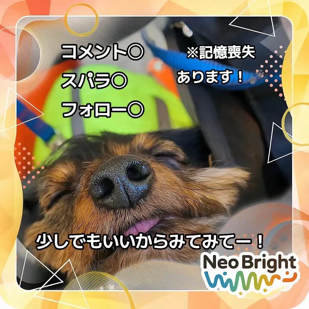 🐾えか🐾