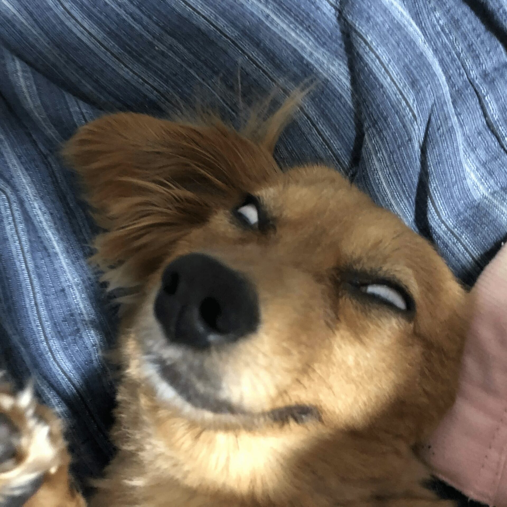 美音*.꒰ঌ✞໒꒱.*める